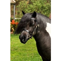 Pocket Ponies Leather Bitted Lead In Bridle - Brass or Silver Fittings