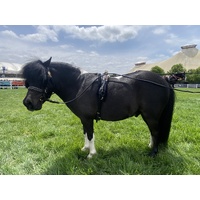 Pocket Ponies Leather Harness