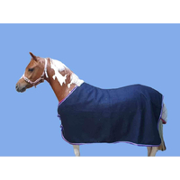 Pocket Ponies Wool Rug