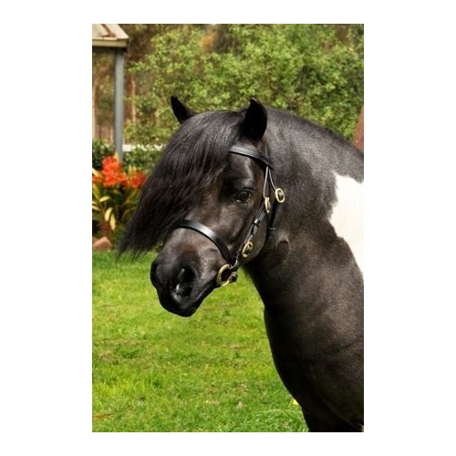Pocket Ponies Leather Bitted Lead In Bridle - Black/Brass - Small Mini