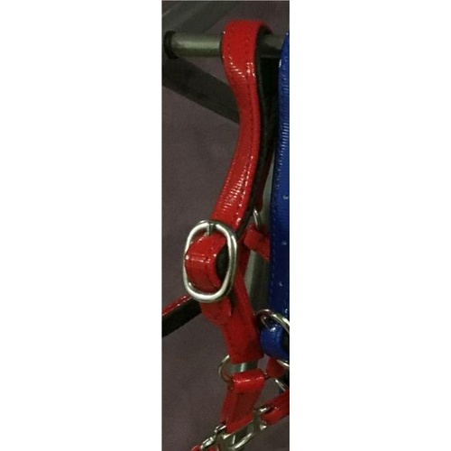 Classic PVC Halter [Colour: Red] [size: Mini Foal]
