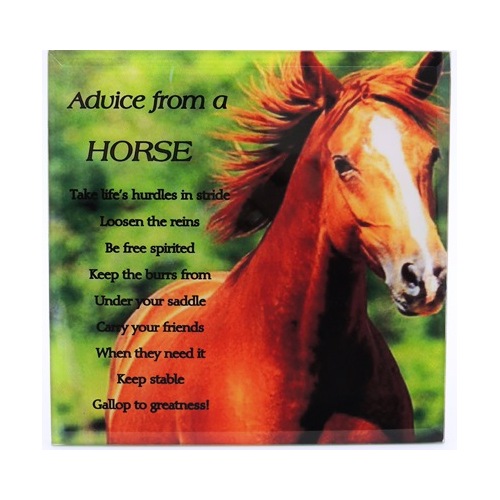 Plaques – Advice from a Horse